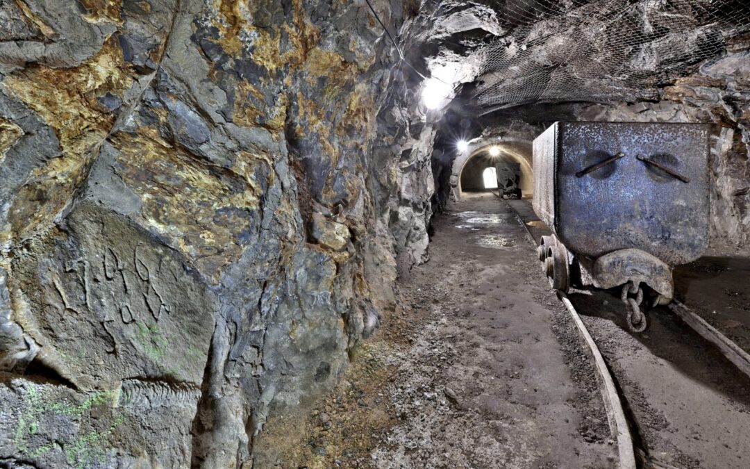 Tajné služby a&nbsp;hledání pokladů